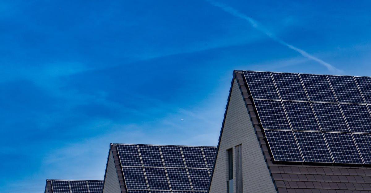 From Sunlight to Your Bottom Line: A Practical Guide to Calculating True Solar Savings