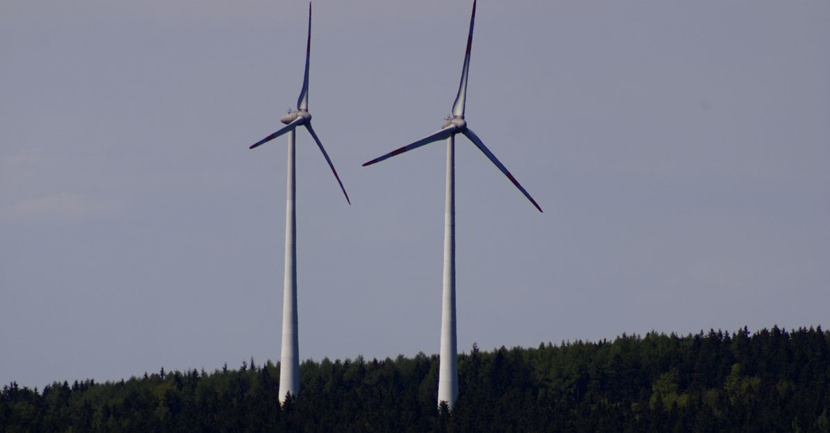 Hype or Home Power? Vertical Wind Turbines Rated by Real Owners—and the kWh They Actually Deliver