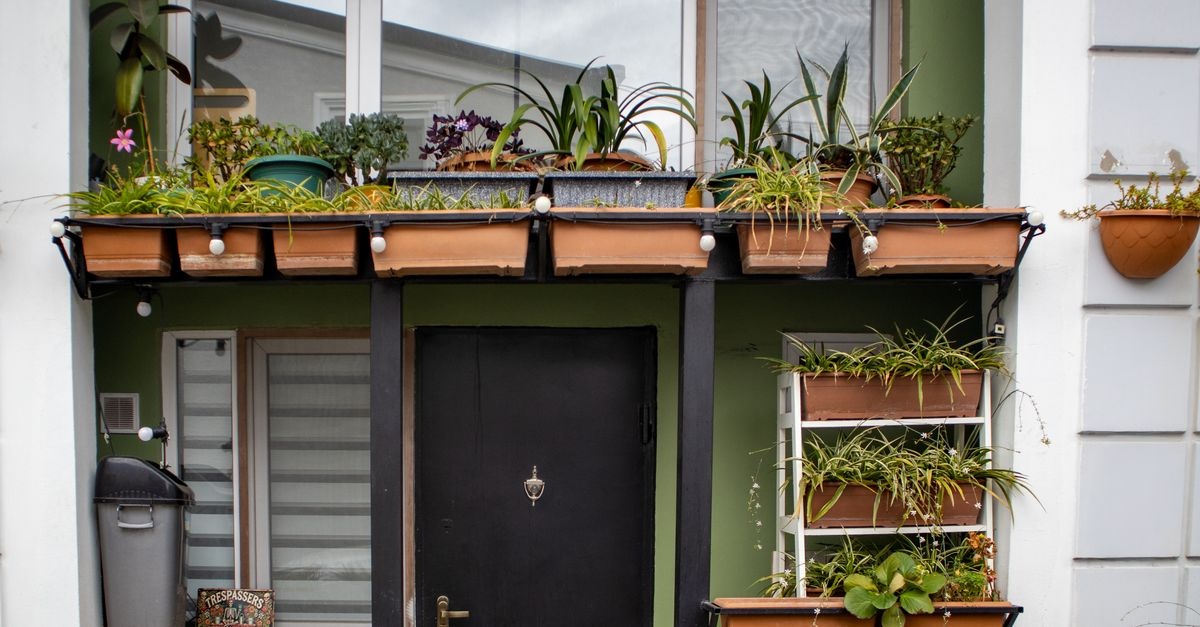 Grow Your Own Hideaway: Build a Living Balcony Privacy Screen for Small Spaces