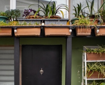 Grow Your Own Hideaway: Build a Living Balcony Privacy Screen for Small Spaces