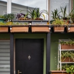 Grow Your Own Hideaway: Build a Living Balcony Privacy Screen for Small Spaces