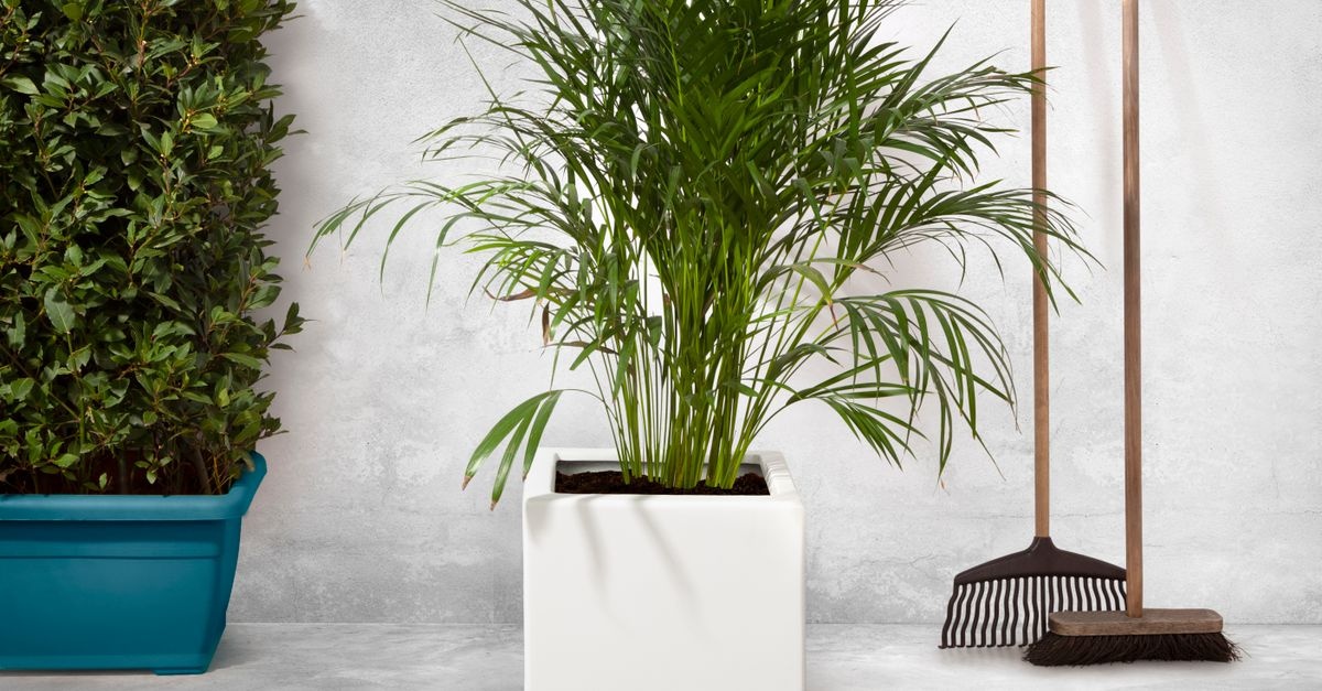 From Concrete Blocks to Blooms: Stylish DIY Planters in a Weekend