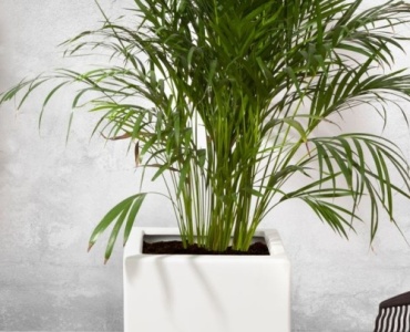 From Concrete Blocks to Blooms: Stylish DIY Planters in a Weekend