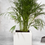 From Concrete Blocks to Blooms: Stylish DIY Planters in a Weekend