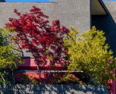 From Bare to Botanical: Easy Plant Hacks for a Stunning Balcony Glow-Up