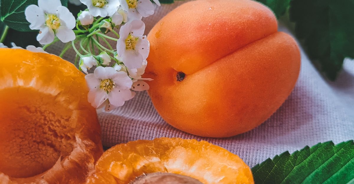 From Balcony to Bowl: Grow Juicy Apricots in Containers