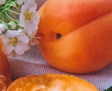 From Balcony to Bowl: Grow Juicy Apricots in Containers
